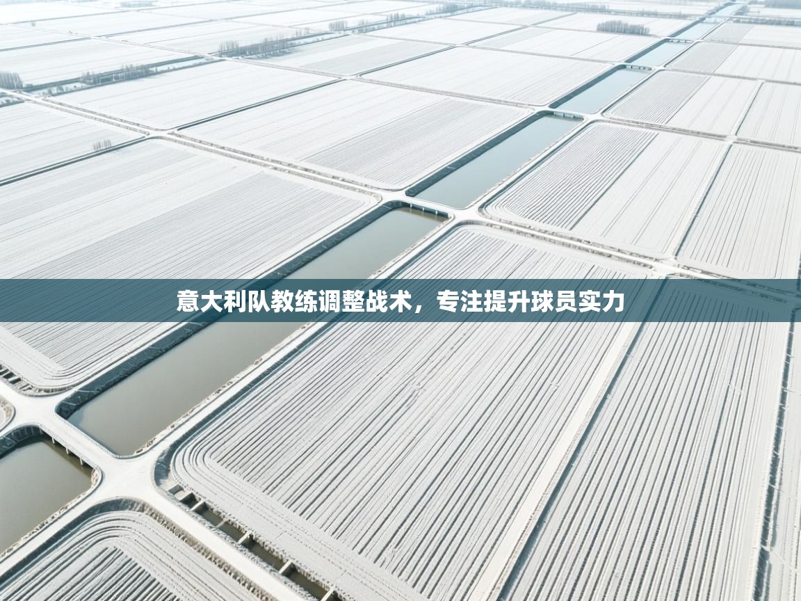 意大利队教练调整战术，专注提升球员实力